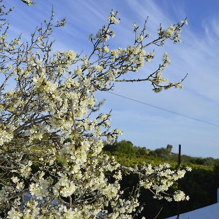 Hortas De Baixo Βίλα Luz de Tavira Εξωτερικό φωτογραφία